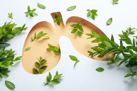 Ayurvedic Herbs to Support Respiratory Wellness
